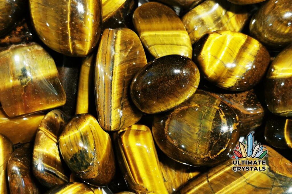 Understanding the Myth Can Tigers Eye Go Into Water