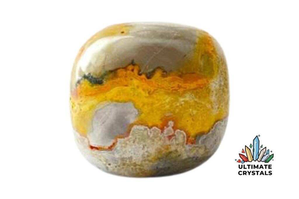 Unveiling the Bumblebee Jasper Healing Properties